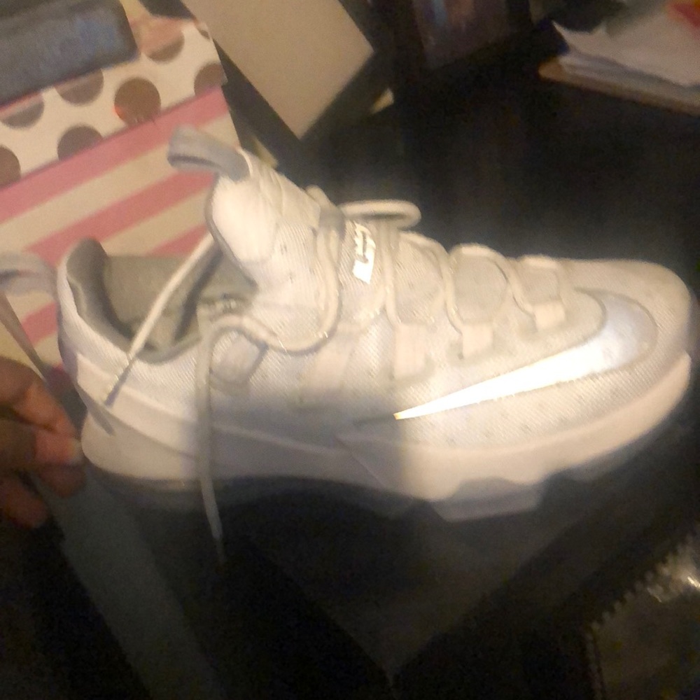 Nike Lebron